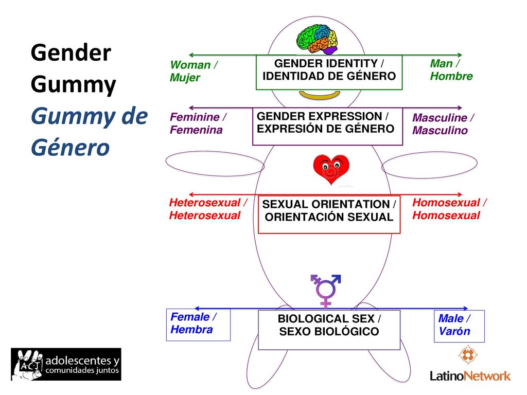 Gender Gummy / Osito de Gender Gummy Gender Gummy Gummy de Género