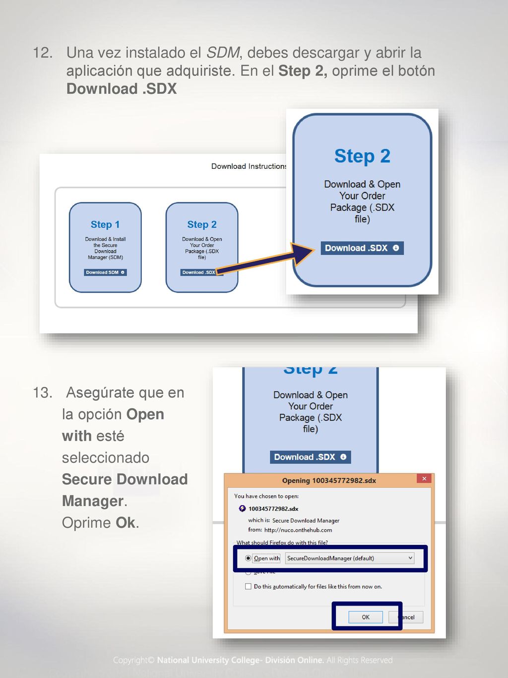 Una vez instalado el SDM, debes descargar y abrir la aplicación que adquiriste. En el Step 2, oprime el botón Download .SDX