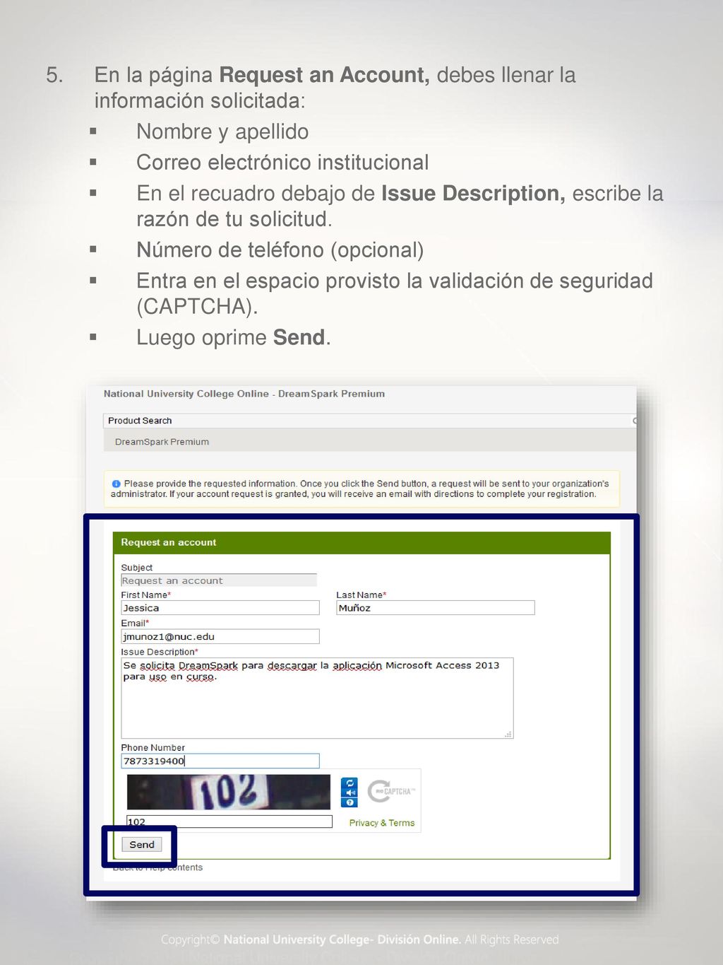 En la página Request an Account, debes llenar la información solicitada: