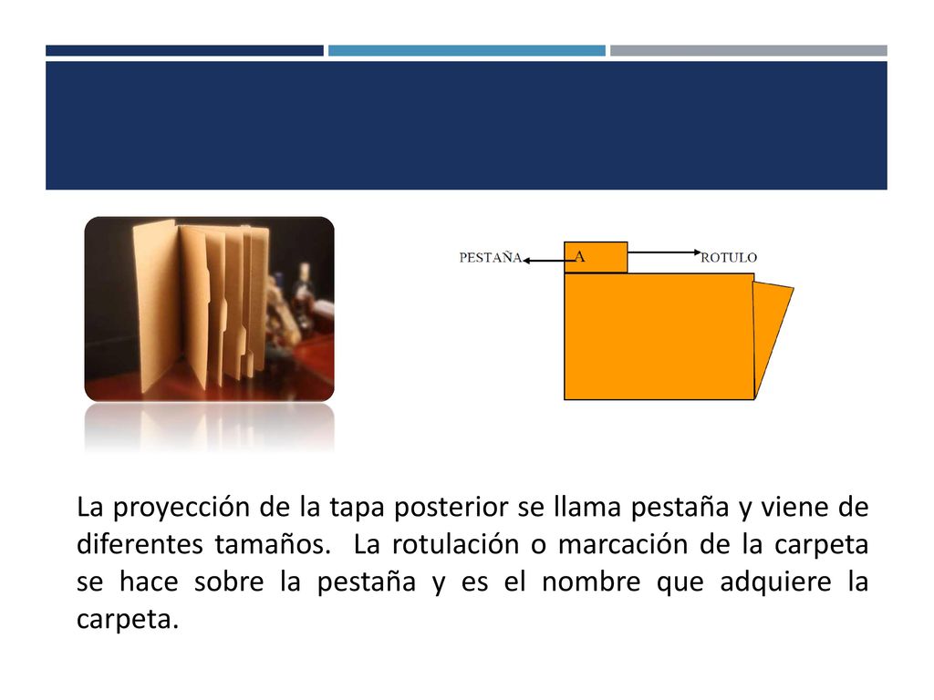 La proyección de la tapa posterior se llama pestaña y viene de diferentes tamaños.