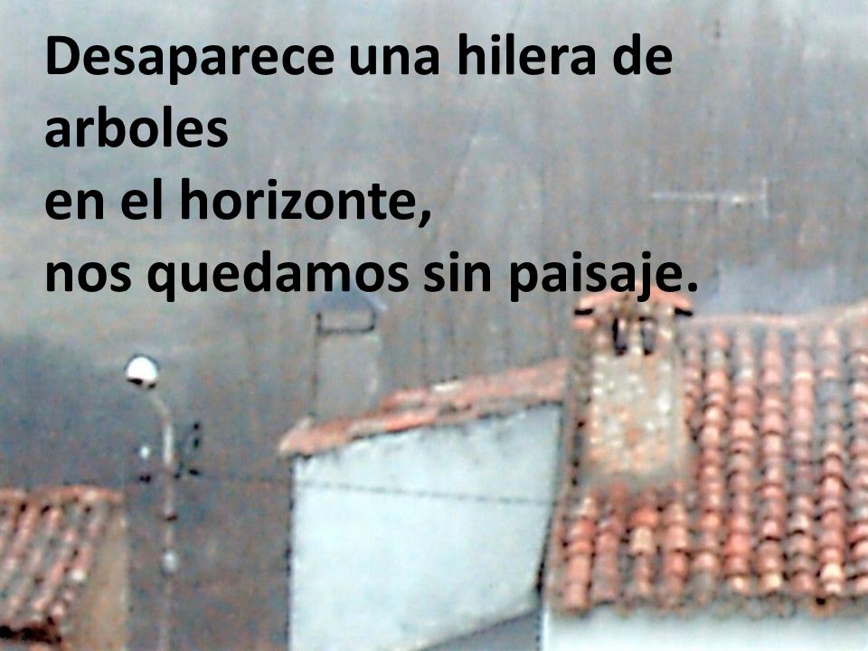 Desaparece una hilera de arboles en el horizonte, nos quedamos sin paisaje.