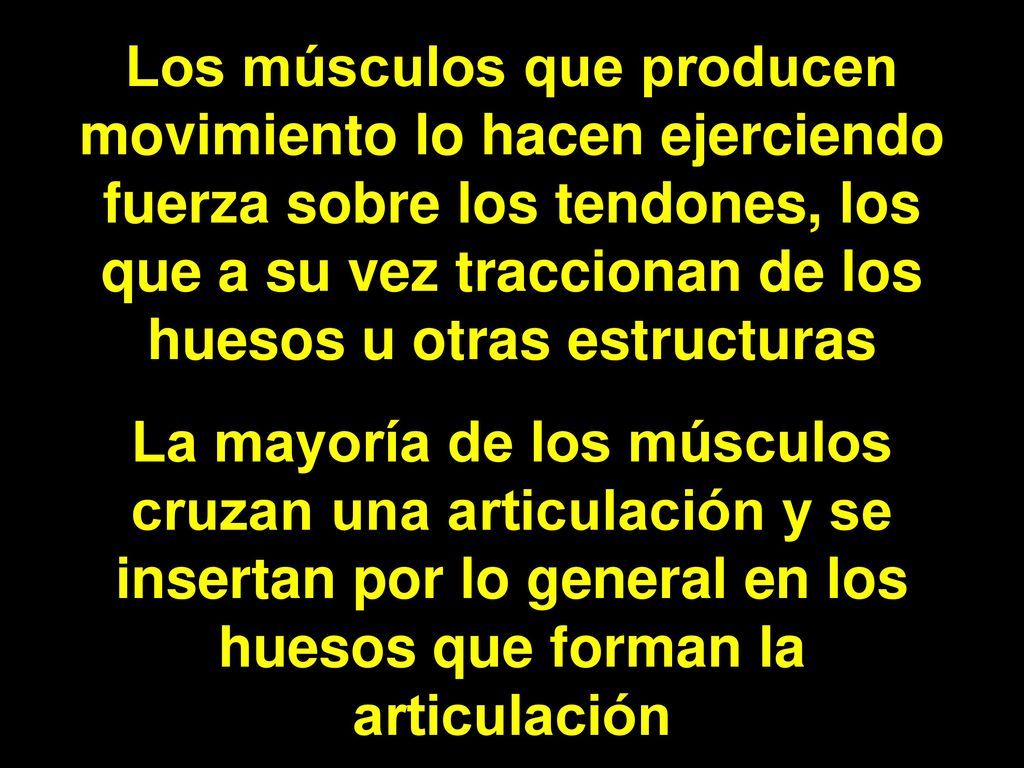 Los músculos que producen movimiento lo hacen ejerciendo fuerza sobre los tendones, los que a su vez traccionan de los huesos u otras estructuras