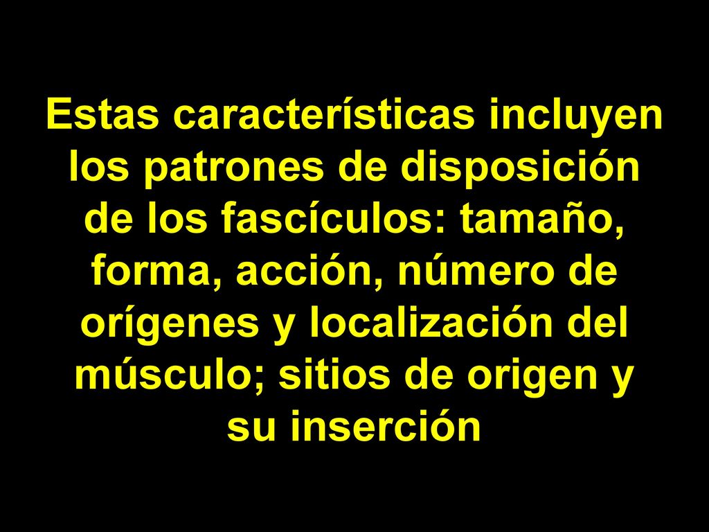 Estas características incluyen los patrones de disposición de los fascículos: tamaño, forma, acción, número de orígenes y localización del músculo; sitios de origen y su inserción