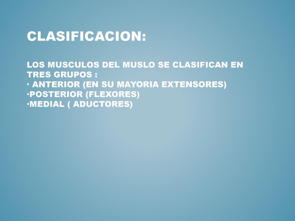 CLASIFICACION: LOS MUSCULOS DEL MUSLO SE CLASIFICAN EN TRES GRUPOS : · ANTERIOR (EN SU MAYORIA EXTENSORES) ·POSTERIOR (FLEXORES) ·MEDIAL ( ADUCTORES)