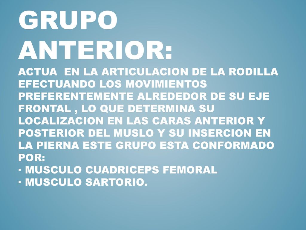 GRUPO ANTERIOR: ACTUA EN LA ARTICULACION DE LA RODILLA EFECTUANDO LOS MOVIMIENTOS PREFERENTEMENTE ALREDEDOR DE SU EJE FRONTAL , LO QUE DETERMINA SU LOCALIZACION EN LAS CARAS ANTERIOR Y POSTERIOR DEL MUSLO Y SU INSERCION EN LA PIERNA ESTE GRUPO ESTA CONFORMADO POR: · MUSCULO CUADRICEPS FEMORAL · MUSCULO SARTORIO.