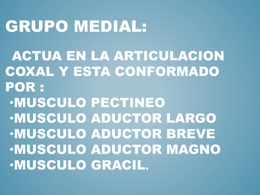 GRUPO MEDIAL: ACTUA EN LA ARTICULACION COXAL Y ESTA CONFORMADO POR : ·MUSCULO PECTINEO ·MUSCULO ADUCTOR LARGO ·MUSCULO ADUCTOR BREVE ·MUSCULO ADUCTOR MAGNO ·MUSCULO GRACIL.