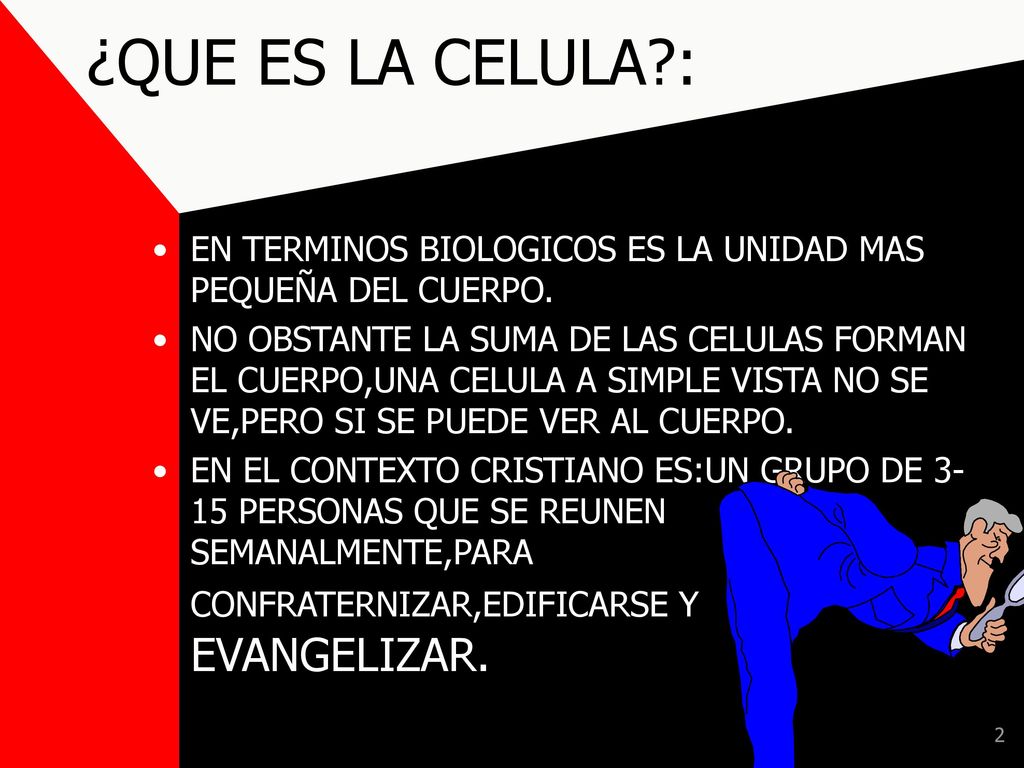 ¿QUE ES LA CELULA : EN TERMINOS BIOLOGICOS ES LA UNIDAD MAS PEQUEÑA DEL CUERPO.