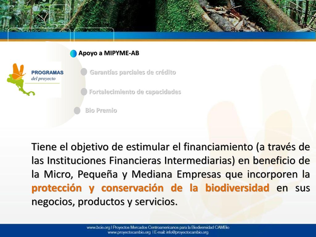 Apoyo a MIPYME-AB Garantías parciales de crédito. PROGRAMAS. del proyecto. Fortalecimiento de capacidades.