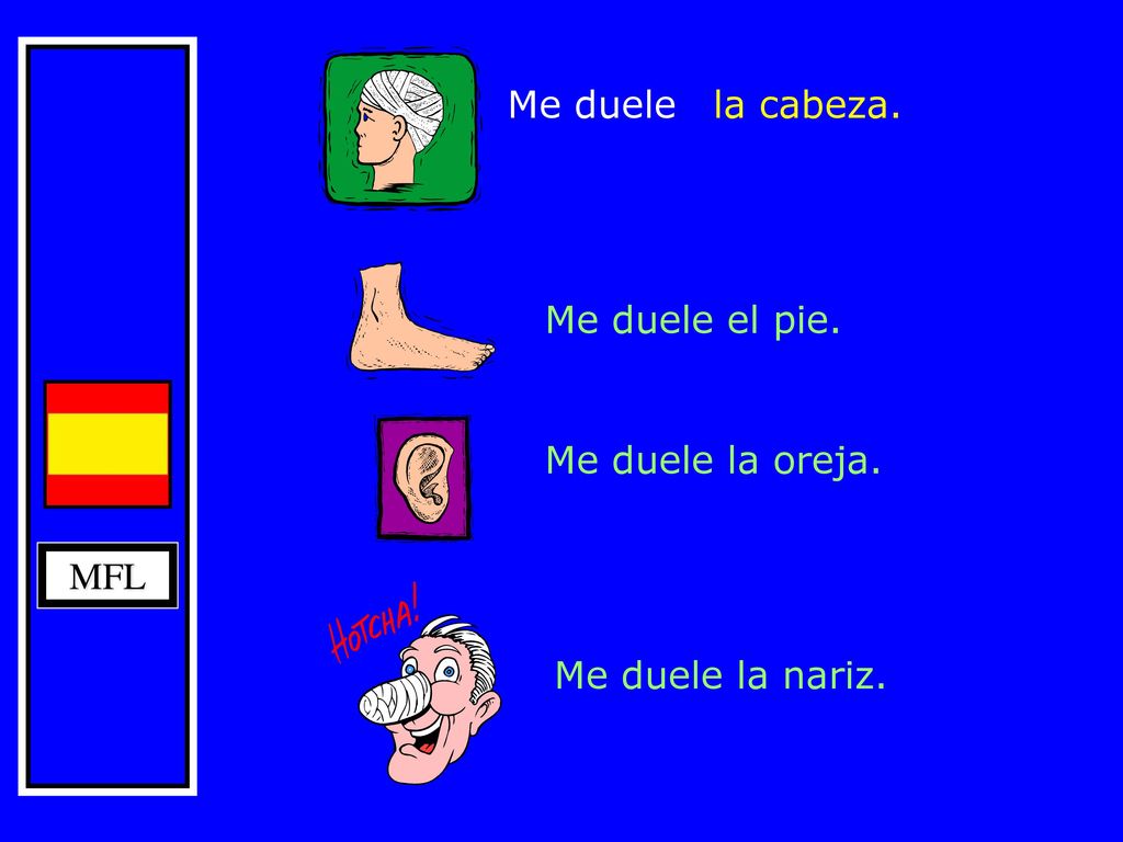 Me duele la cabeza. Me duele el pie. Me duele la oreja. MFL Me duele la nariz.