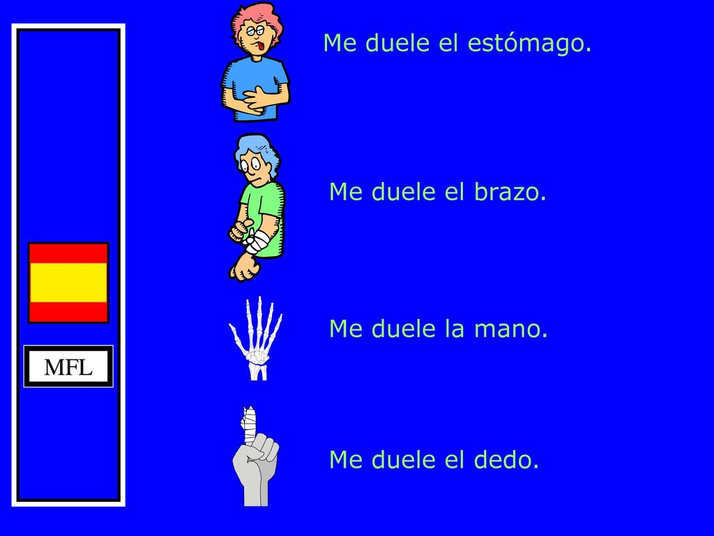 Me duele el estómago. Me duele el brazo. Me duele la mano. MFL Me duele el dedo.