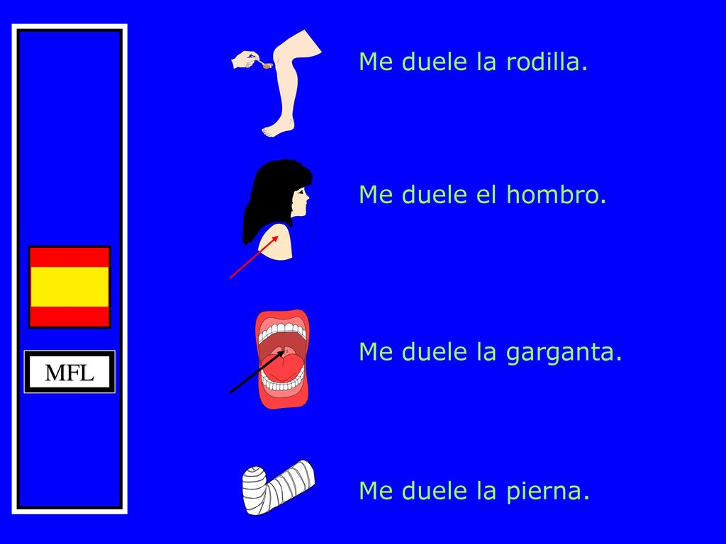 Me duele la rodilla. Me duele el hombro. Me duele la garganta. MFL Me duele la pierna.