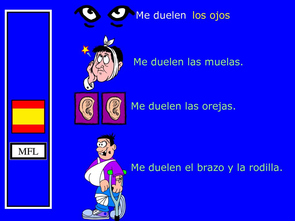 Me duelen los ojos Me duelen las muelas. Me duelen las orejas. MFL Me duelen el brazo y la rodilla.