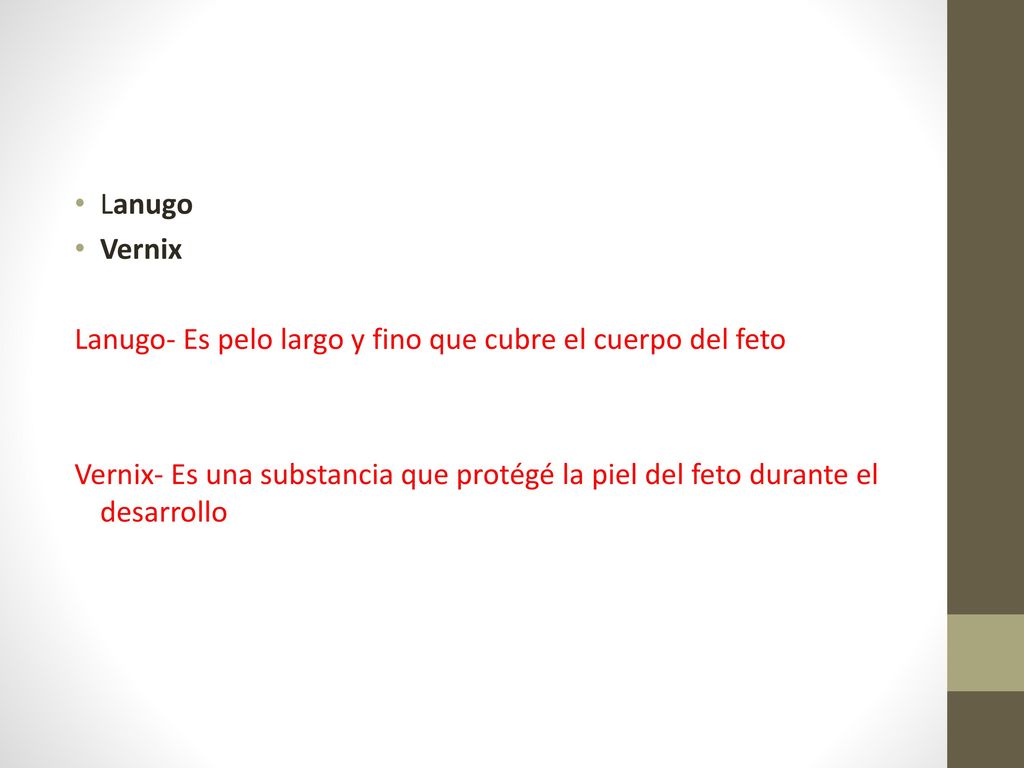 Lanugo Vernix. Lanugo- Es pelo largo y fino que cubre el cuerpo del feto.