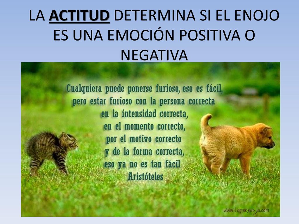 LA ACTITUD DETERMINA SI EL ENOJO ES UNA EMOCIÓN POSITIVA O NEGATIVA