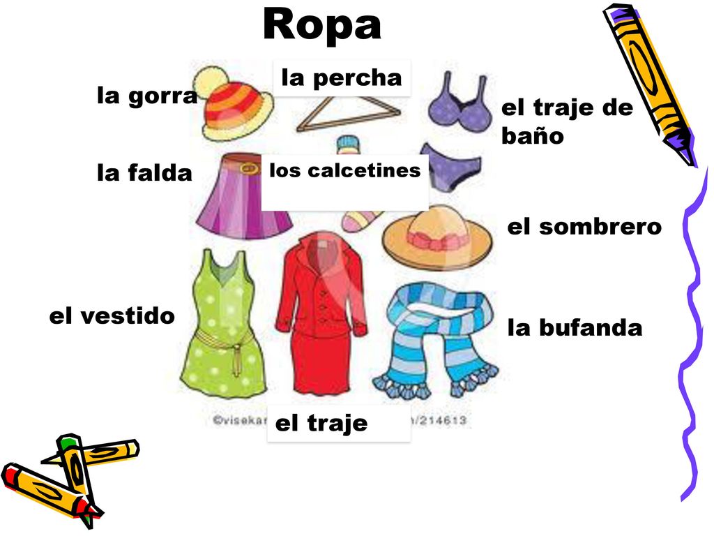 Ropa la percha la gorra el traje de baño la falda el sombrero