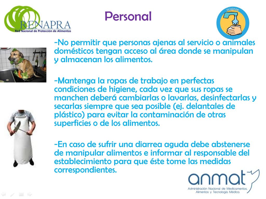 Personal -No permitir que personas ajenas al servicio o animales domésticos tengan acceso al área donde se manipulan y almacenan los alimentos.