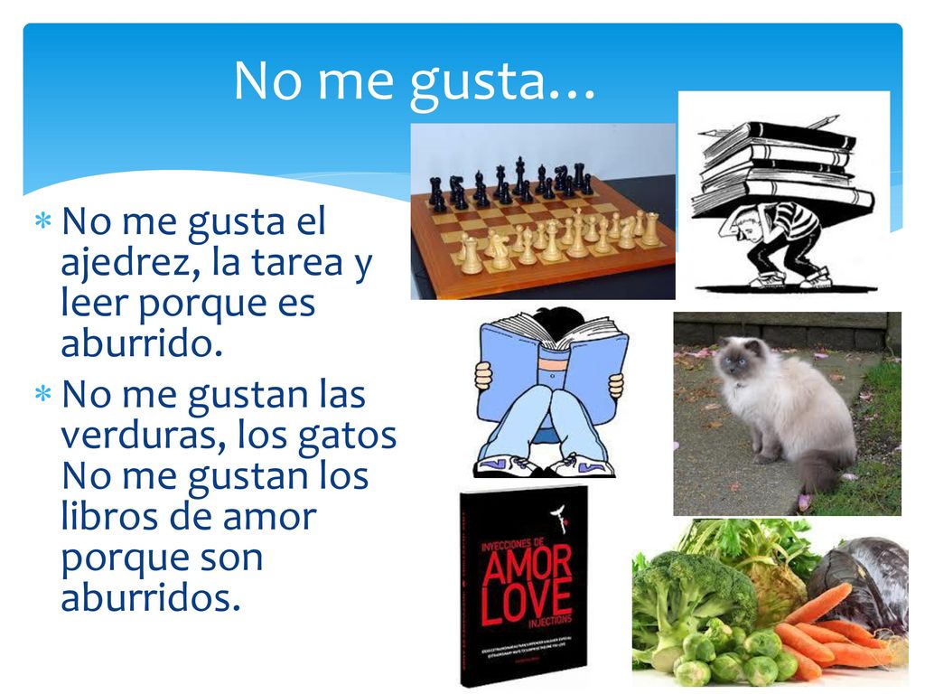 No me gusta… No me gusta el ajedrez, la tarea y leer porque es aburrido.