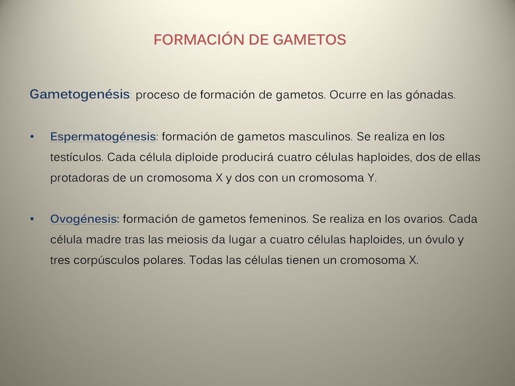 FORMACIÓN DE GAMETOS Gametogenésis: proceso de formación de gametos. Ocurre en las gónadas.