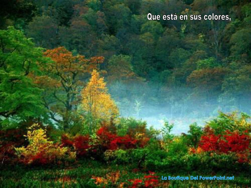 Que está en sus colores,