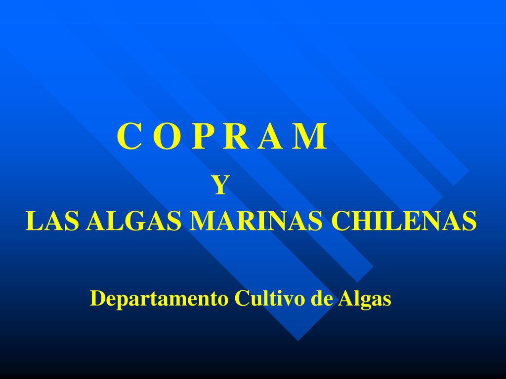 C O P R A M Y LAS ALGAS MARINAS CHILENAS Departamento Cultivo de Algas