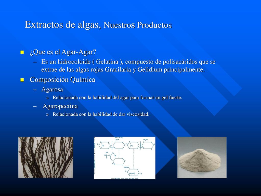 Extractos de algas, NuestroS Productos