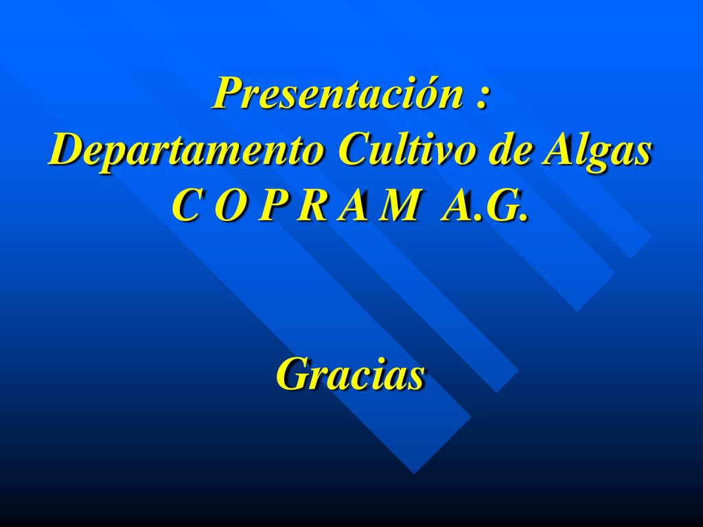 Presentación : Departamento Cultivo de Algas C O P R A M A.G. Gracias