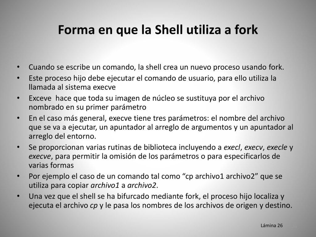 Forma en que la Shell utiliza a fork