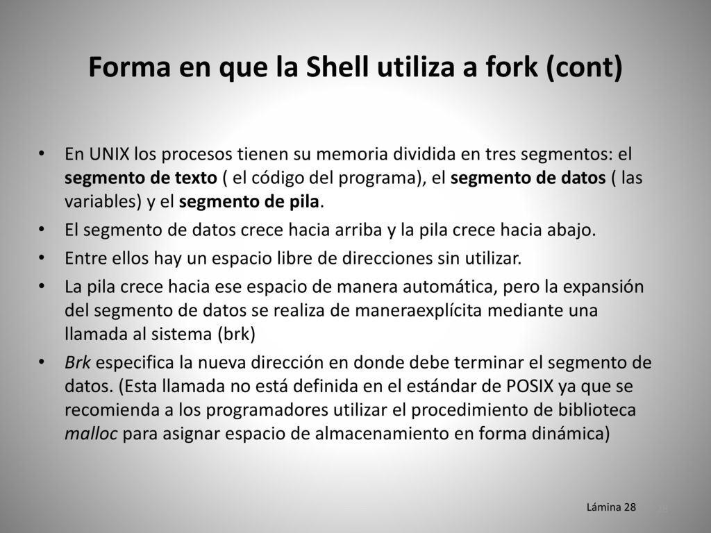 Forma en que la Shell utiliza a fork (cont)