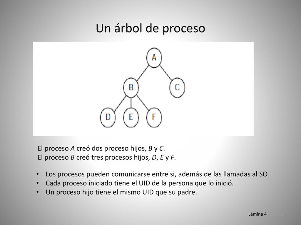 Un árbol de proceso El proceso A creó dos proceso hijos, B y C.
