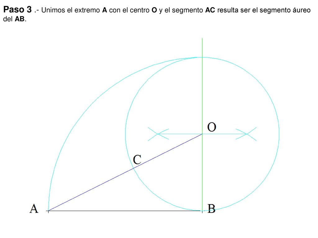 Paso 3 .- Unimos el extremo A con el centro O y el segmento AC resulta ser el segmento áureo del AB.