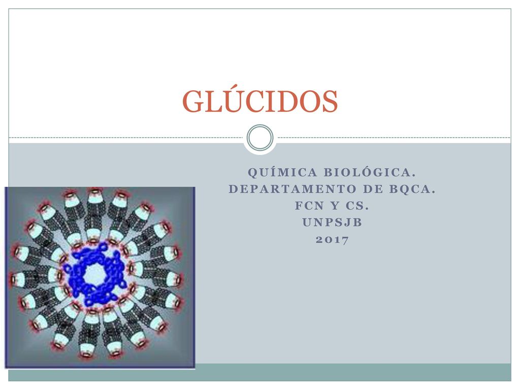 Química Biológica. Departamento de Bqca. FCN y CS. UNPSJB 2017