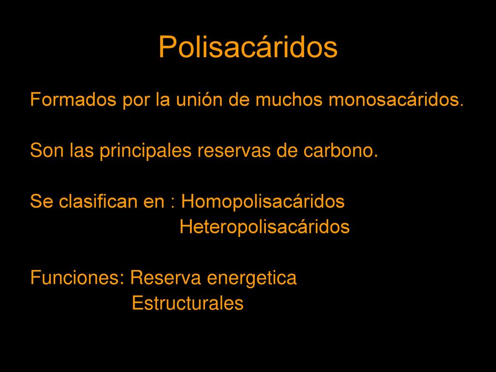 Polisacáridos Formados por la unión de muchos monosacáridos.