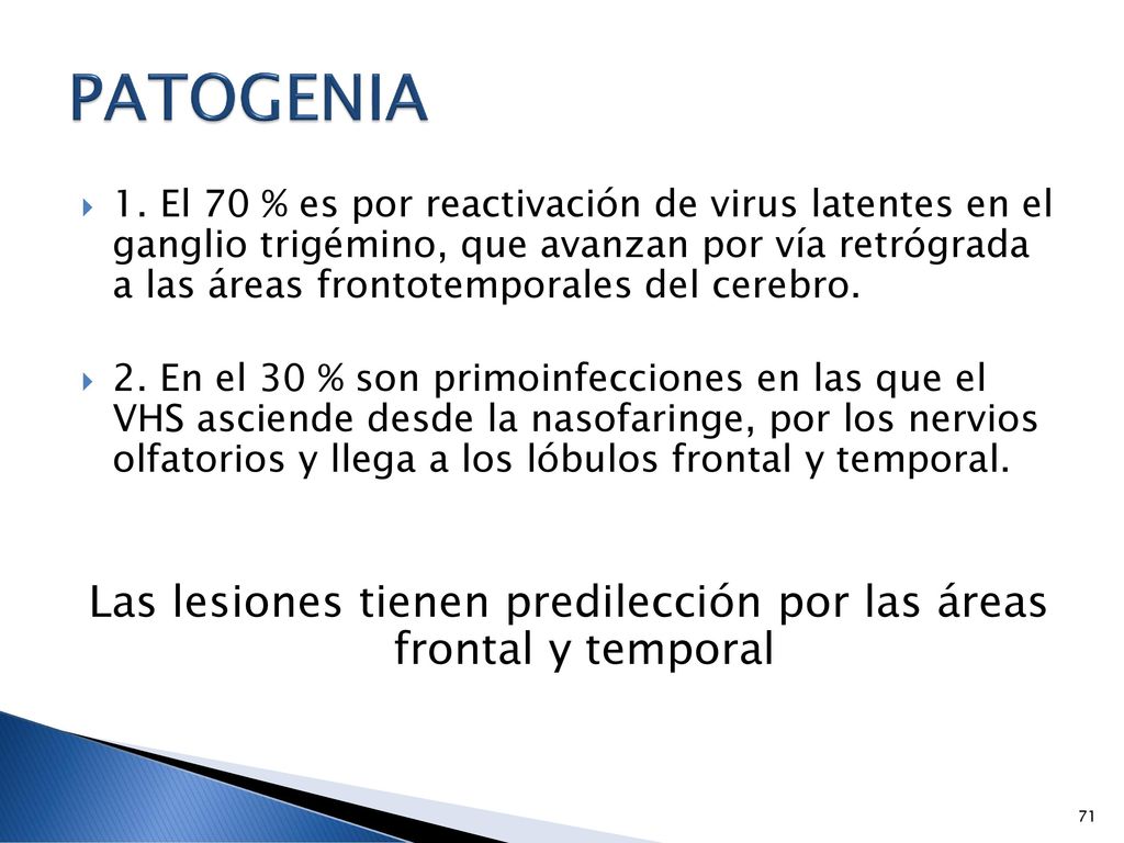 Las lesiones tienen predilección por las áreas frontal y temporal