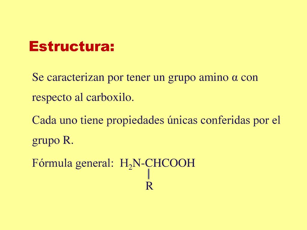 Estructura: Se caracterizan por tener un grupo amino α con respecto al carboxilo. Cada uno tiene propiedades únicas conferidas por el grupo R.