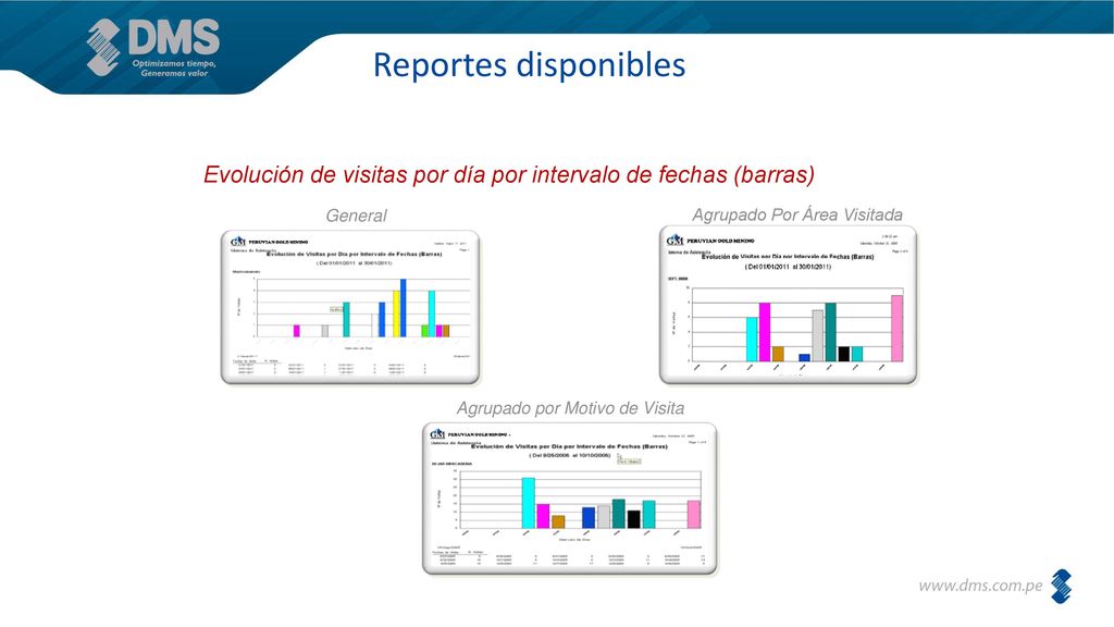 Reportes disponibles Evolución de visitas por día por intervalo de fechas (barras) General. Agrupado Por Área Visitada.