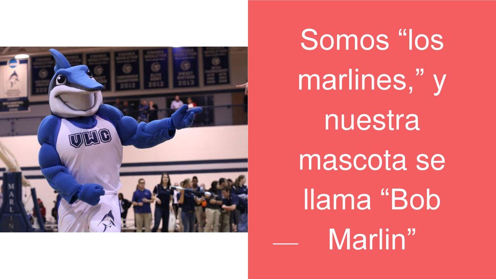 Somos los marlines, y nuestra mascota se llama Bob Marlin