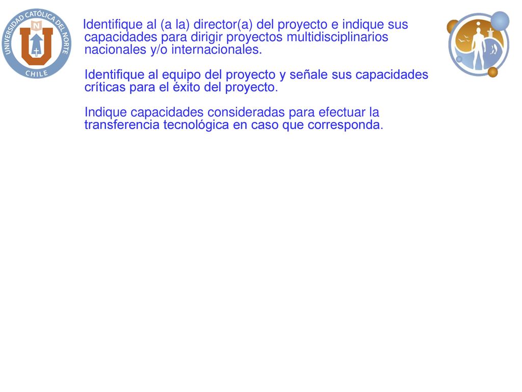 Identifique al (a la) director(a) del proyecto e indique sus capacidades para dirigir proyectos multidisciplinarios nacionales y/o internacionales.