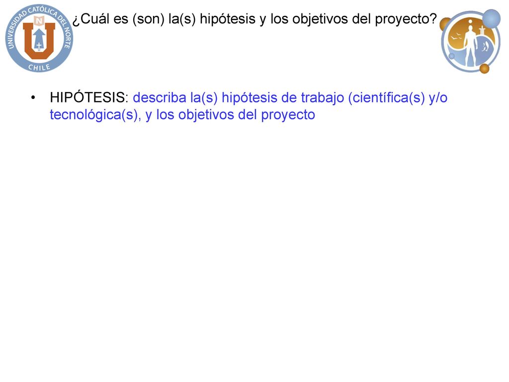 ¿Cuál es (son) la(s) hipótesis y los objetivos del proyecto