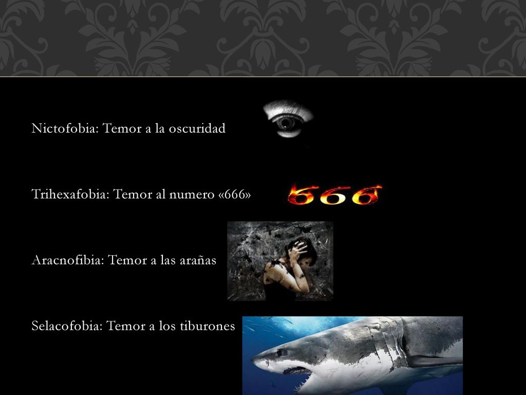 Nictofobia: Temor a la oscuridad Trihexafobia: Temor al numero «666» Aracnofibia: Temor a las arañas Selacofobia: Temor a los tiburones