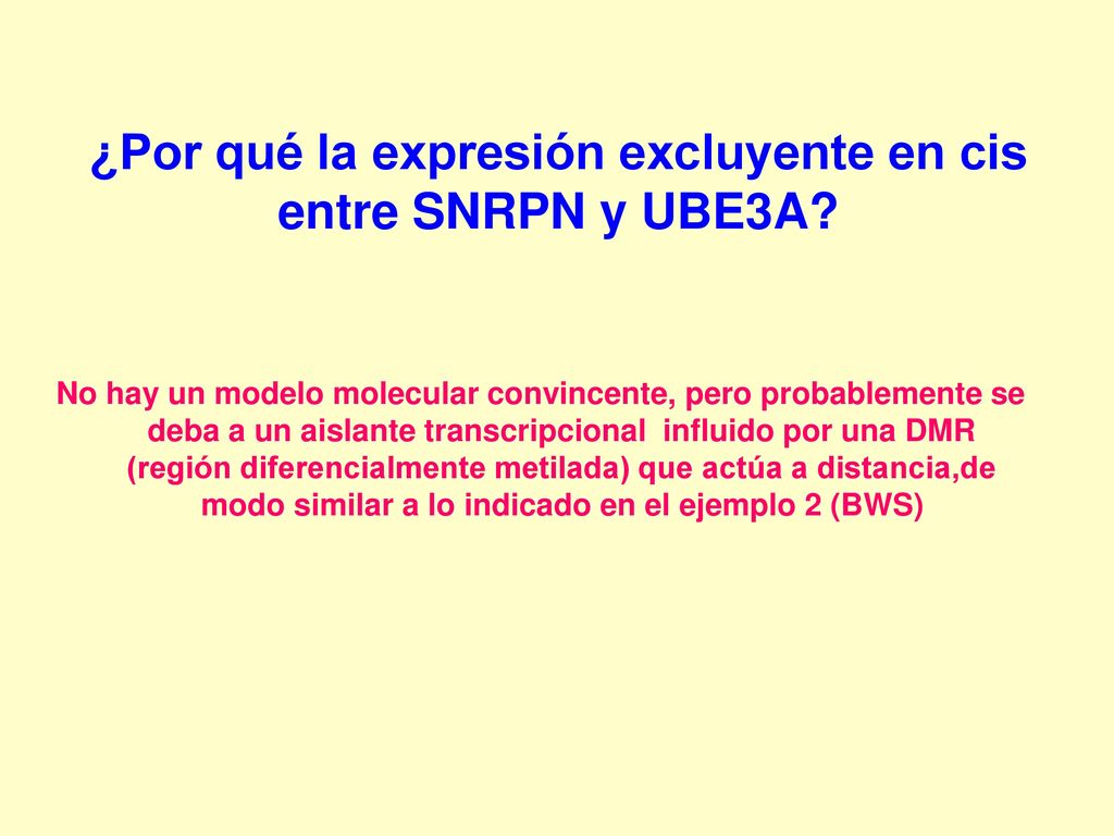 ¿Por qué la expresión excluyente en cis entre SNRPN y UBE3A