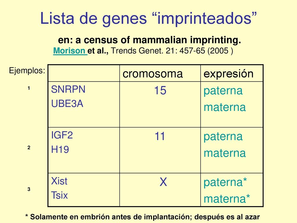 Lista de genes imprinteados