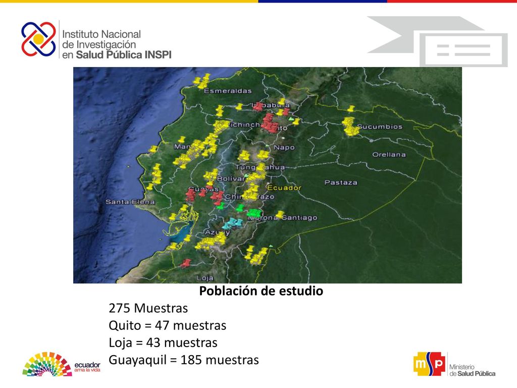 Población de estudio 275 Muestras Quito = 47 muestras Loja = 43 muestras Guayaquil = 185 muestras