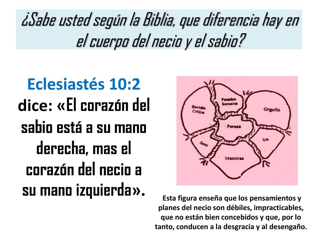 ¿Sabe usted según la Biblia, que diferencia hay en el cuerpo del necio y el sabio