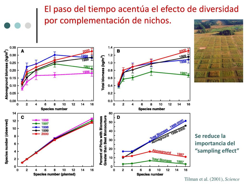 El paso del tiempo acentúa el efecto de diversidad por complementación de nichos.