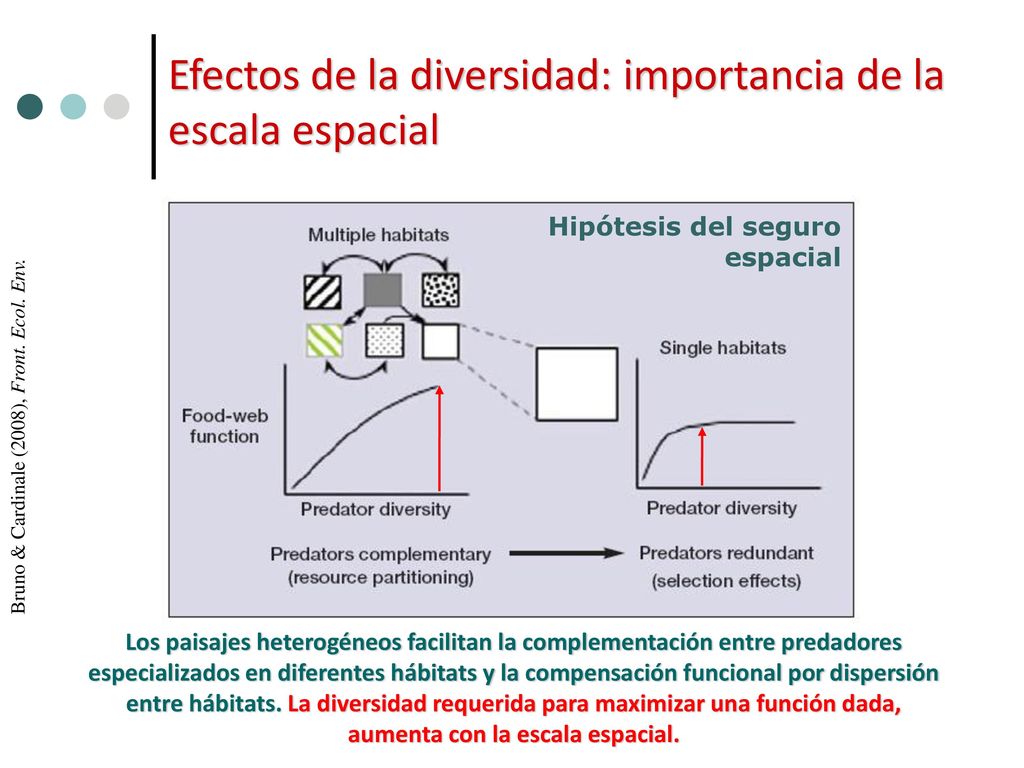 Efectos de la diversidad: importancia de la escala espacial
