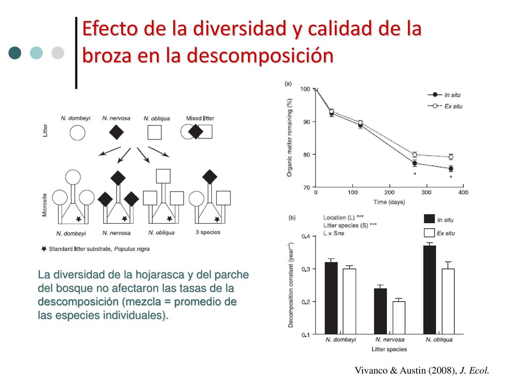 Efecto de la diversidad y calidad de la broza en la descomposición