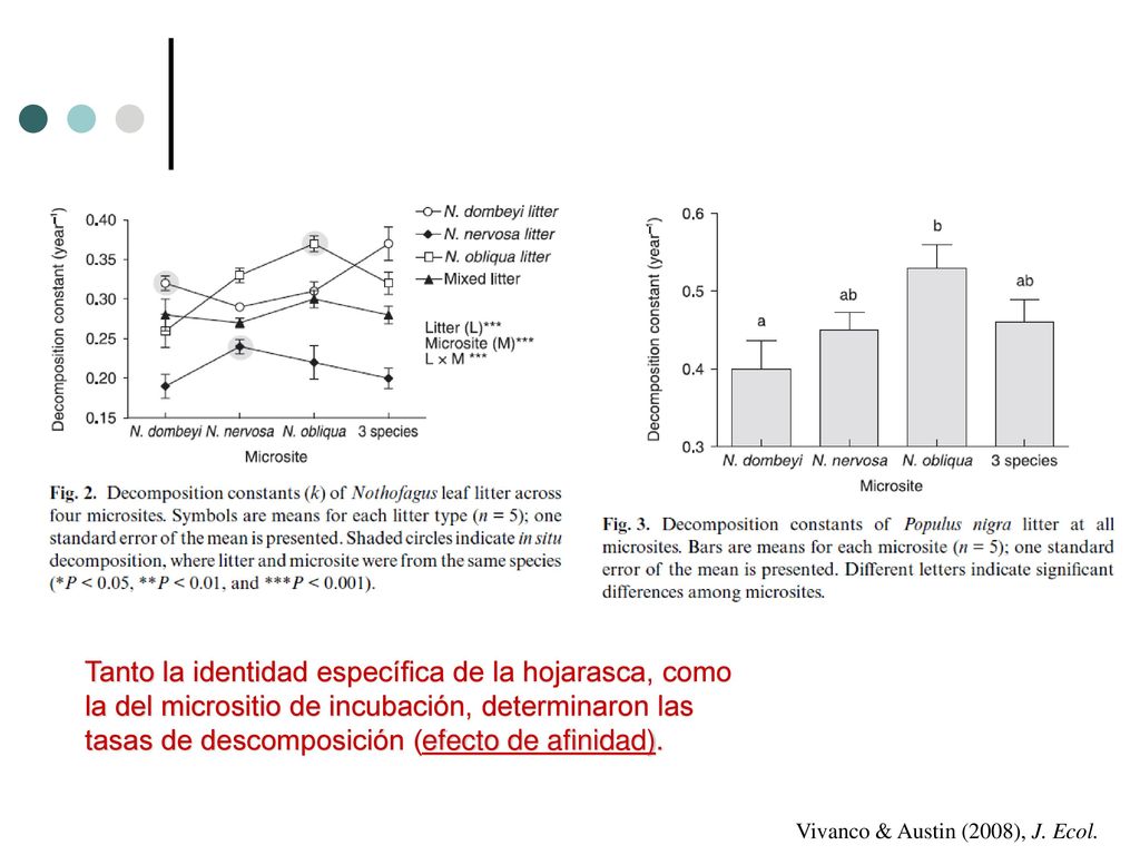 Tanto la identidad específica de la hojarasca, como la del micrositio de incubación, determinaron las tasas de descomposición (efecto de afinidad).