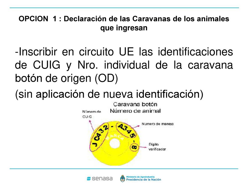 OPCION 1 : Declaración de las Caravanas de los animales que ingresan