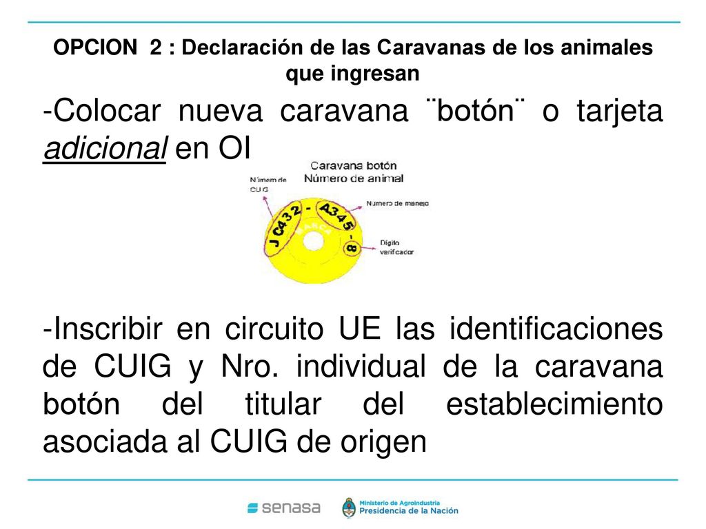 OPCION 2 : Declaración de las Caravanas de los animales que ingresan