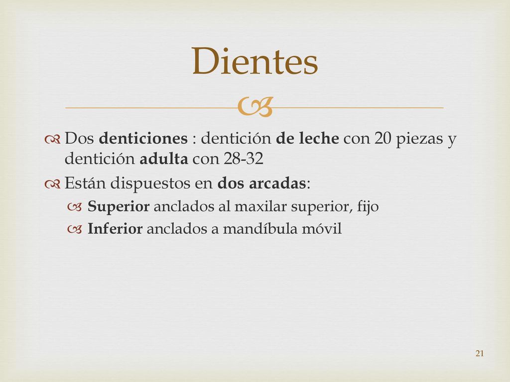 Dientes Dos denticiones : dentición de leche con 20 piezas y dentición adulta con Están dispuestos en dos arcadas: